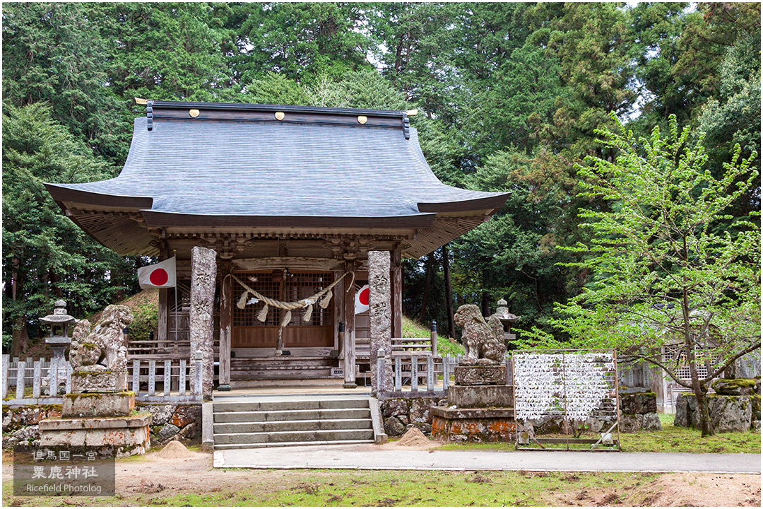 但馬国一宮 粟鹿神社