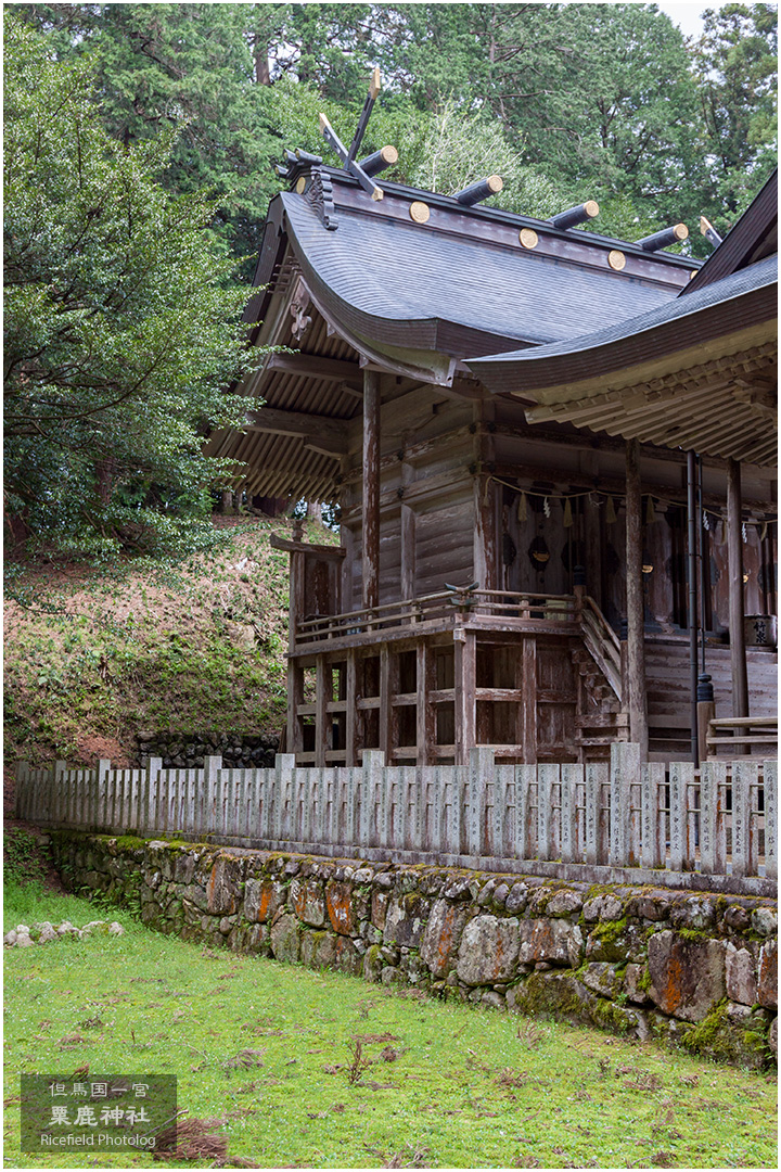 但馬国一宮 粟鹿神社