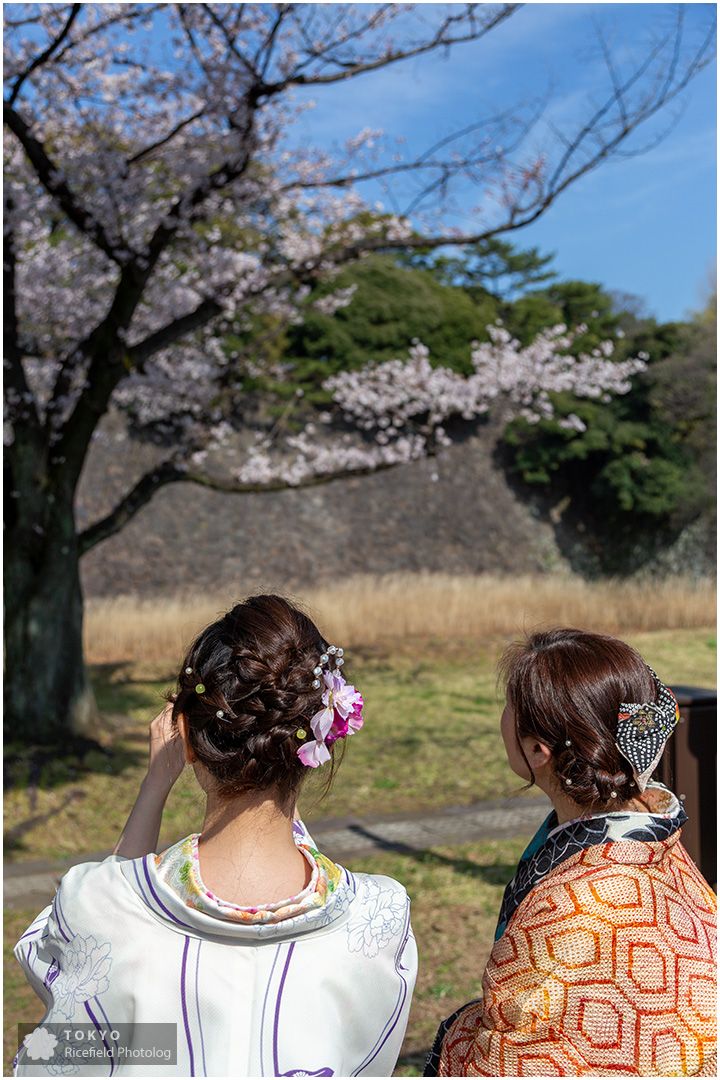 tokyo sakura imperial palace 皇居 乾通り 桜
