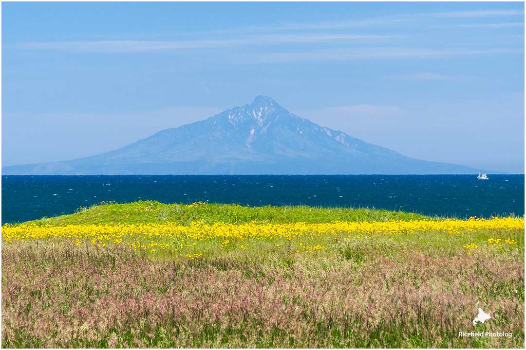 海に浮かぶ利尻富士