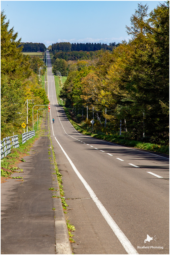 ライダーに人気の北19号道路