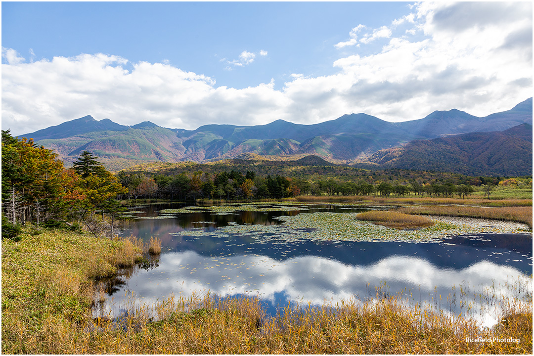 知床五湖のうち一湖は、木道からも見られる。