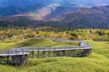 秋の北海道｜晴天の知床五湖と美幌峠からの絶景