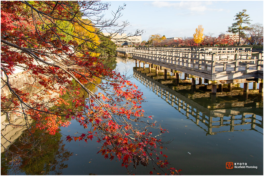 長岡天満宮の紅葉