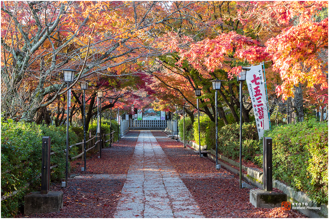 長岡天満宮の紅葉