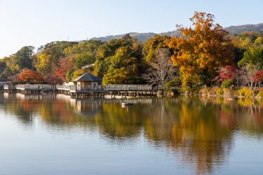 紅葉の京都｜長岡天満宮