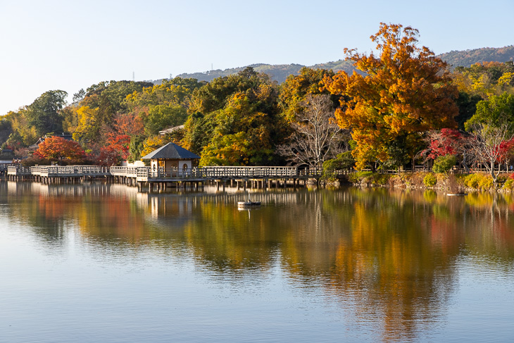 長岡天満宮の紅葉